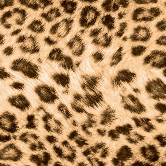 ANIMALIER